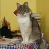 Отзыв от Валерия Гладкова